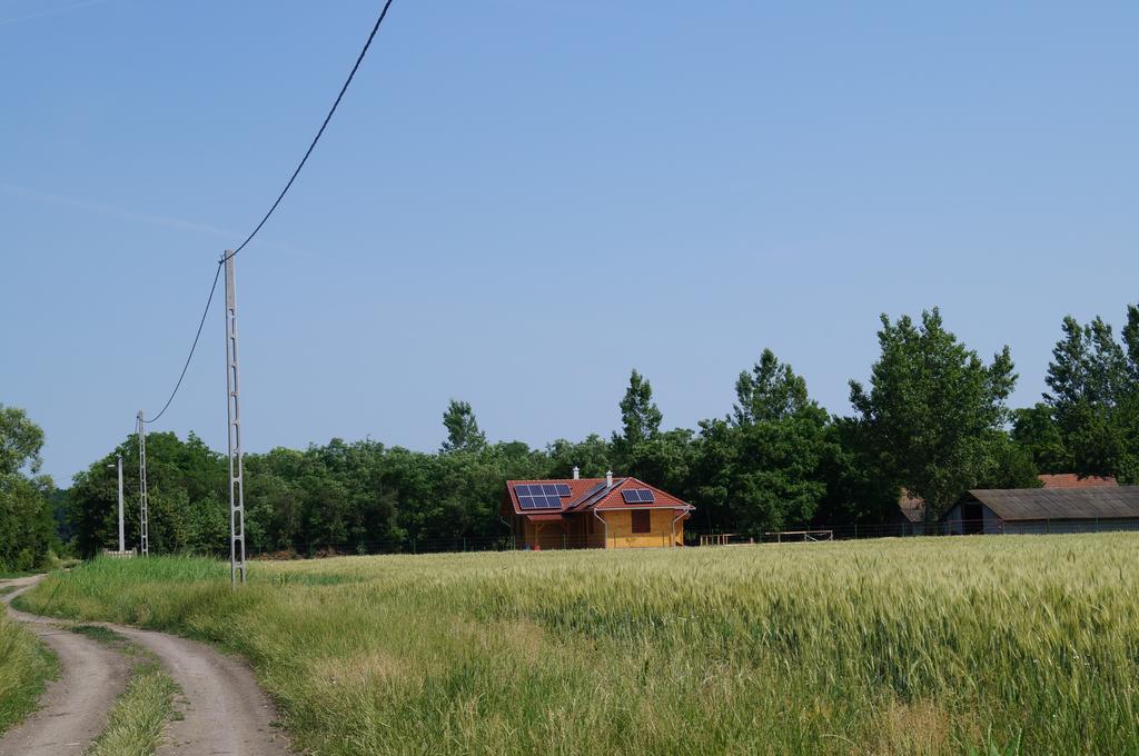 Mezes Tanya Belmegyer Villa Buitenkant foto