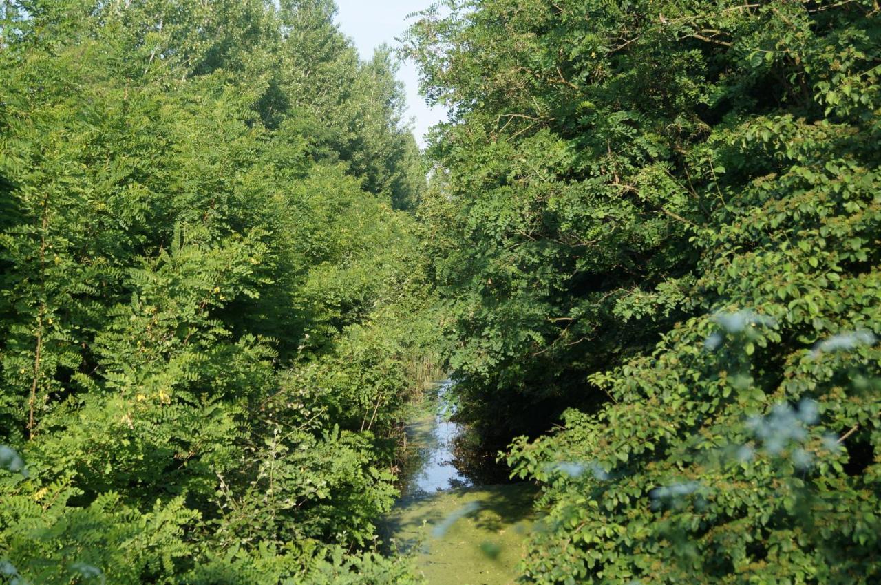 Mezes Tanya Belmegyer Villa Buitenkant foto
